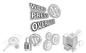 Five Illustration Word Press