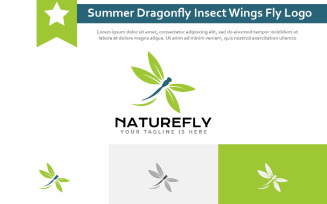 Beautiful Summer Dragonfly Insect Wings Fly Nature Simple Logo Idea