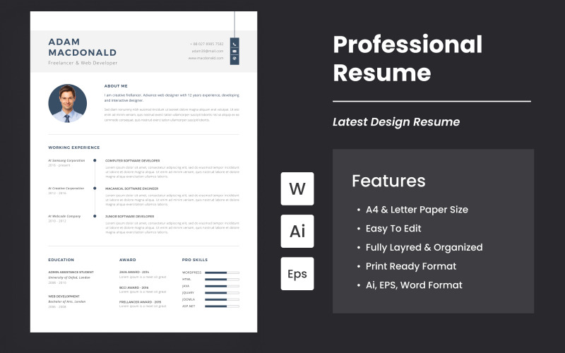 Latest Professional CV And Resume Resume Template