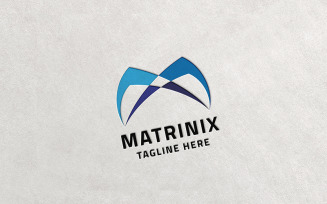 Professional Matrinix Letter M Logo