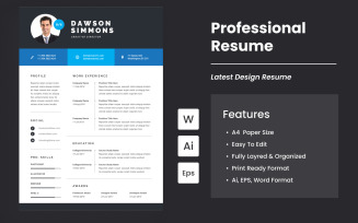 Smart Professional CV / Resume