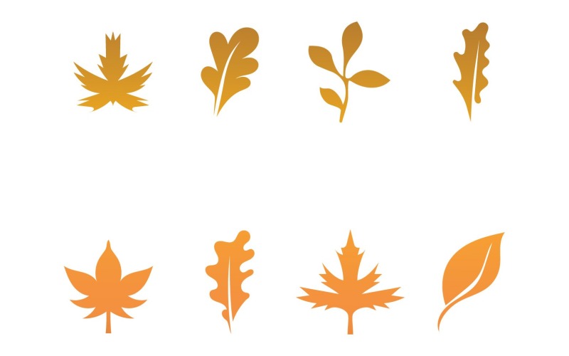 Maple Leaf Vector Illustration Design Template 2 Logo Template