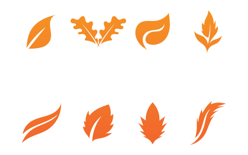Maple Leaf Vector Illustration Design Template Logo Template