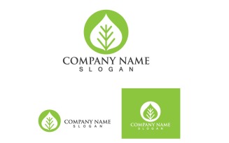 Leaf Green Logo And Symbol Nature V5