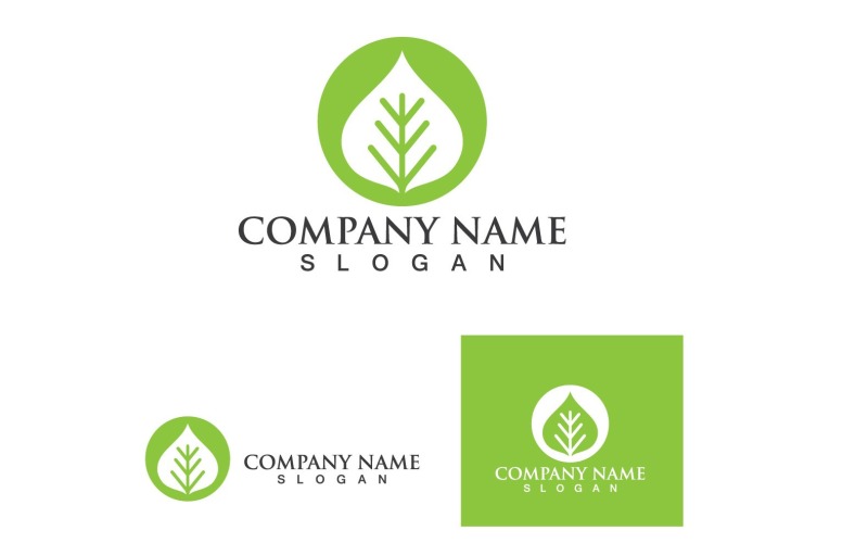 Leaf Green Logo And Symbol Nature V5 Logo Template