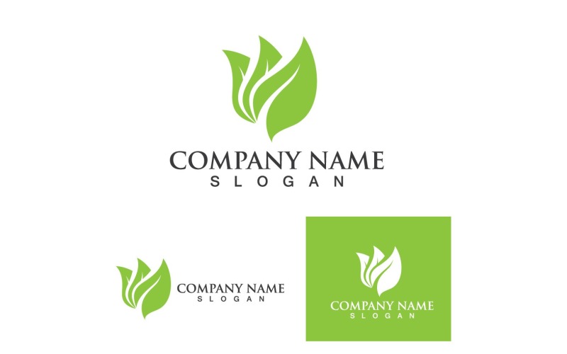 Leaf Green Logo And Symbol Nature V9 Logo Template