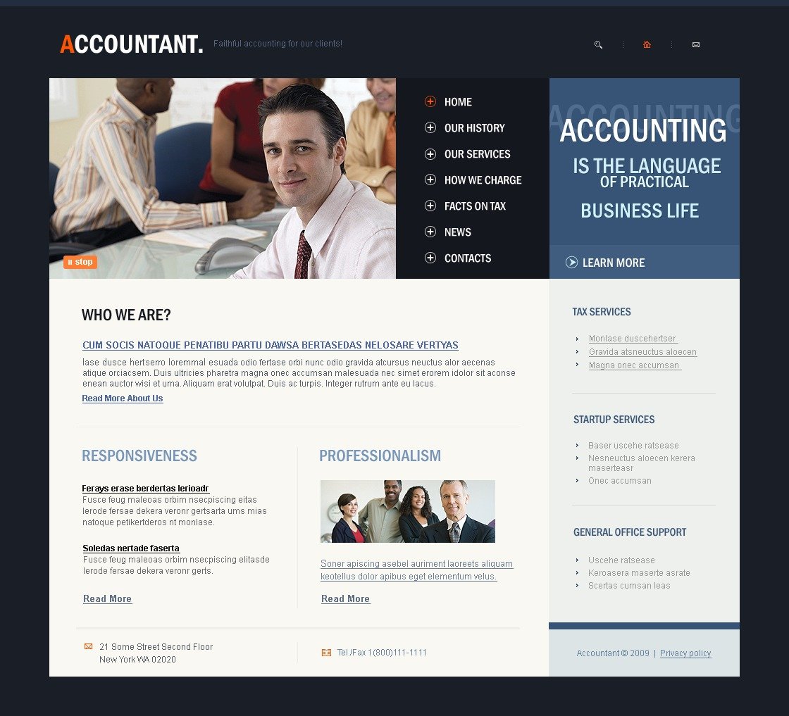 Accounting Website Website Template 23881