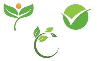 Leaf Green Logo Nature Logo Vector V15
