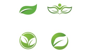 Leaf Green Logo Nature Logo Vector V28