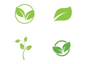 Leaf Green Logo Nature Logo Vector V30