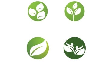 Leaf Green Logo Nature Logo Vector V31