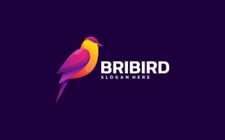 Bird Colorful Logo Design