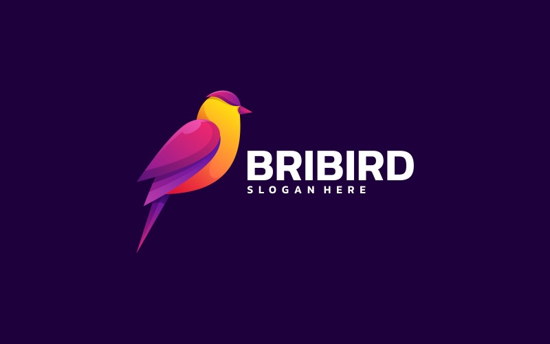 Bird Colorful Logo Design Logo Template