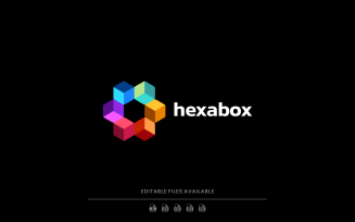 Hexagon Box Colorful Logo Style