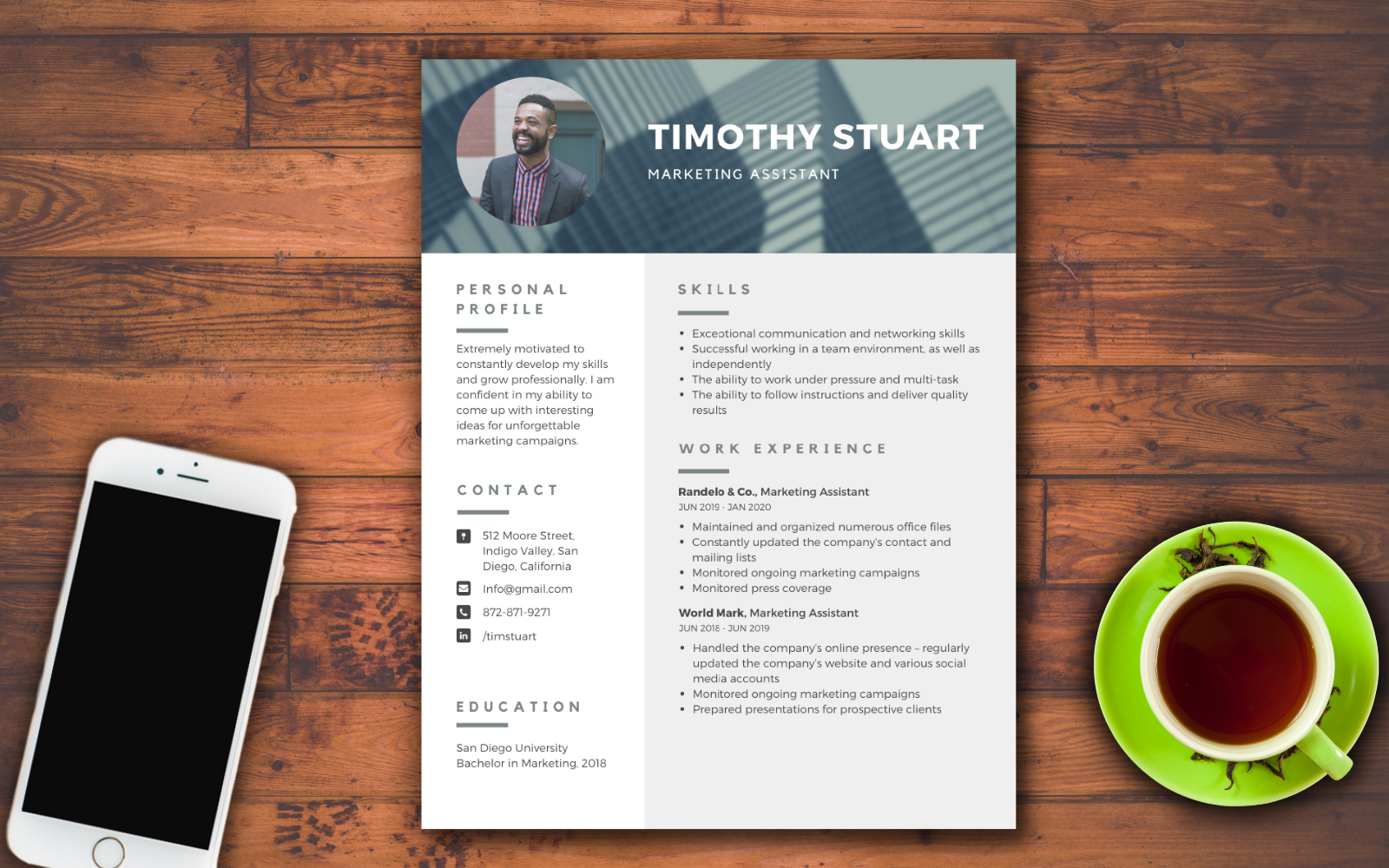 Timothy Stuart - Clean And Modern Resume Template