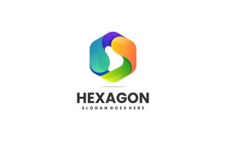 Vector Hexagon Colorful Logo