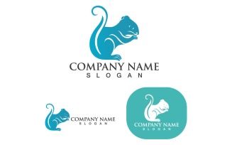 Squirrel Logo And Symbol Vector V