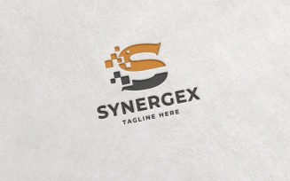 Professional Synergex Letter S Logo