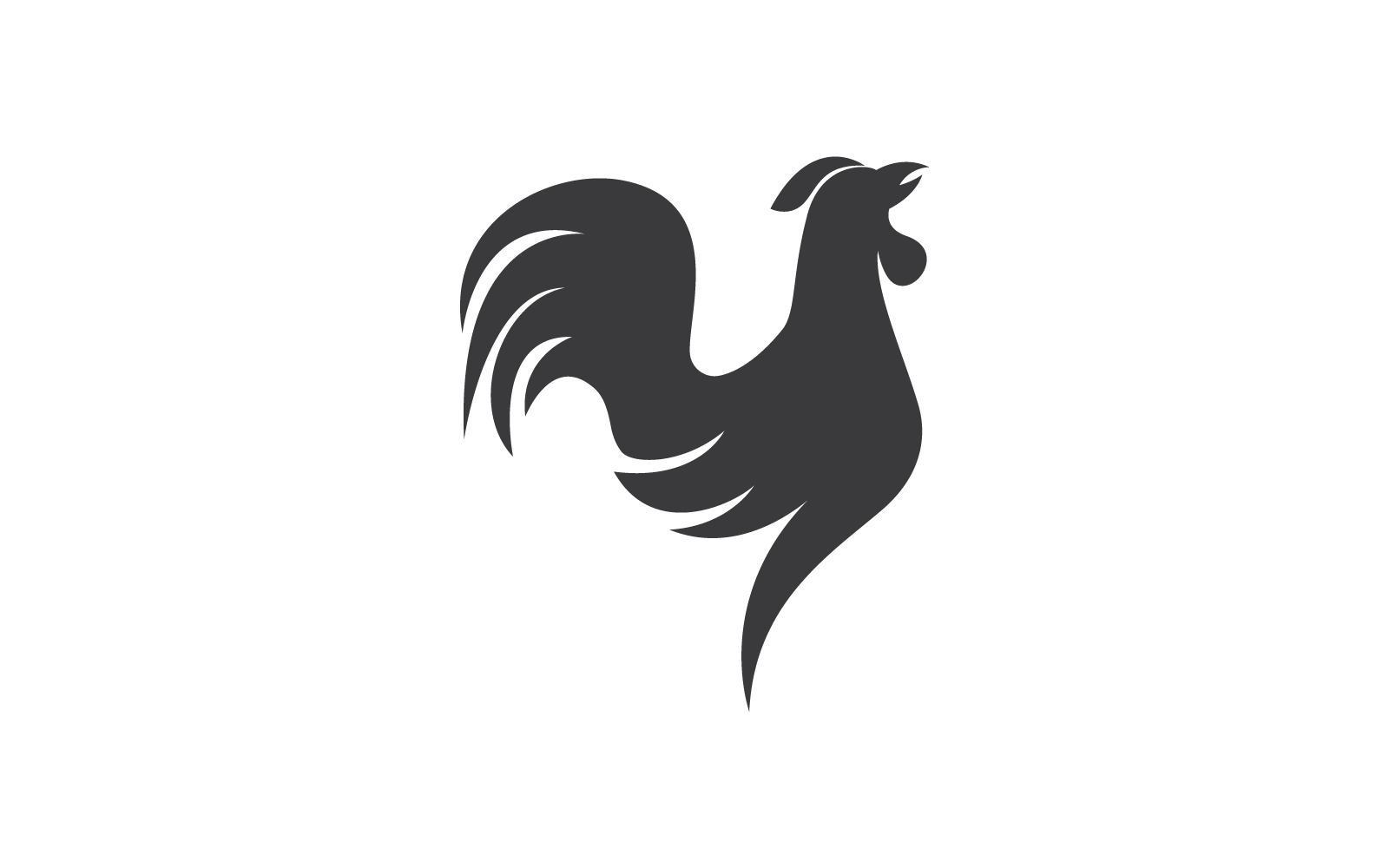 Coq Noir Modèle Rogo Illustration Vectorielle