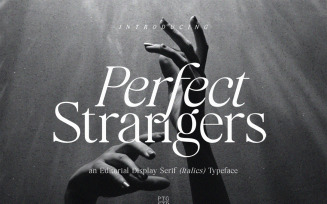 Perfect Strangers I Display Elegant Serif Typeface