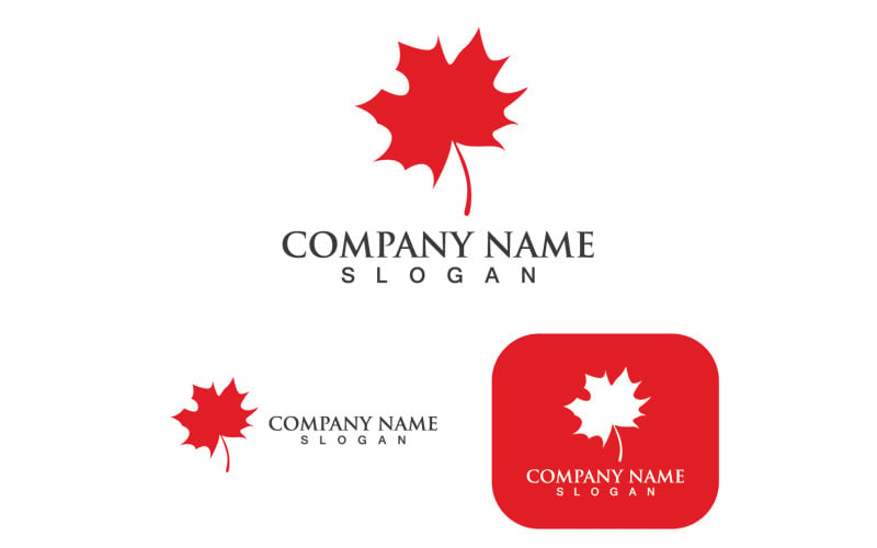 Maple Leaf Vector Illustration Design Template V2 Logo Template