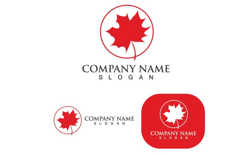 Maple Leaf Vector Illustration Design Template V3 Logo Template