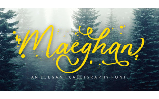 Maeghan Calligraphy Font - Maeghan Calligraphy Font