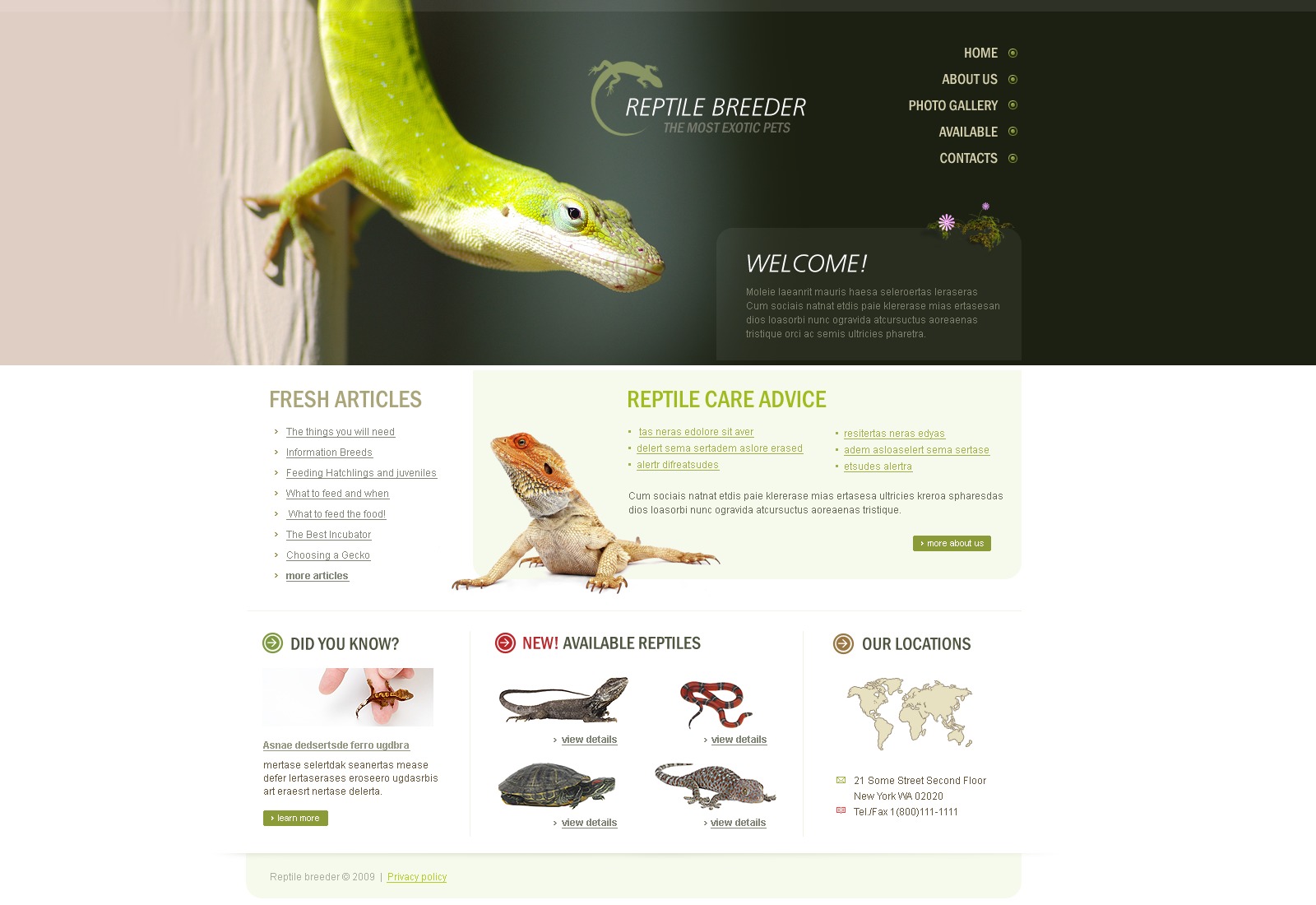 Reptile site Template 24564