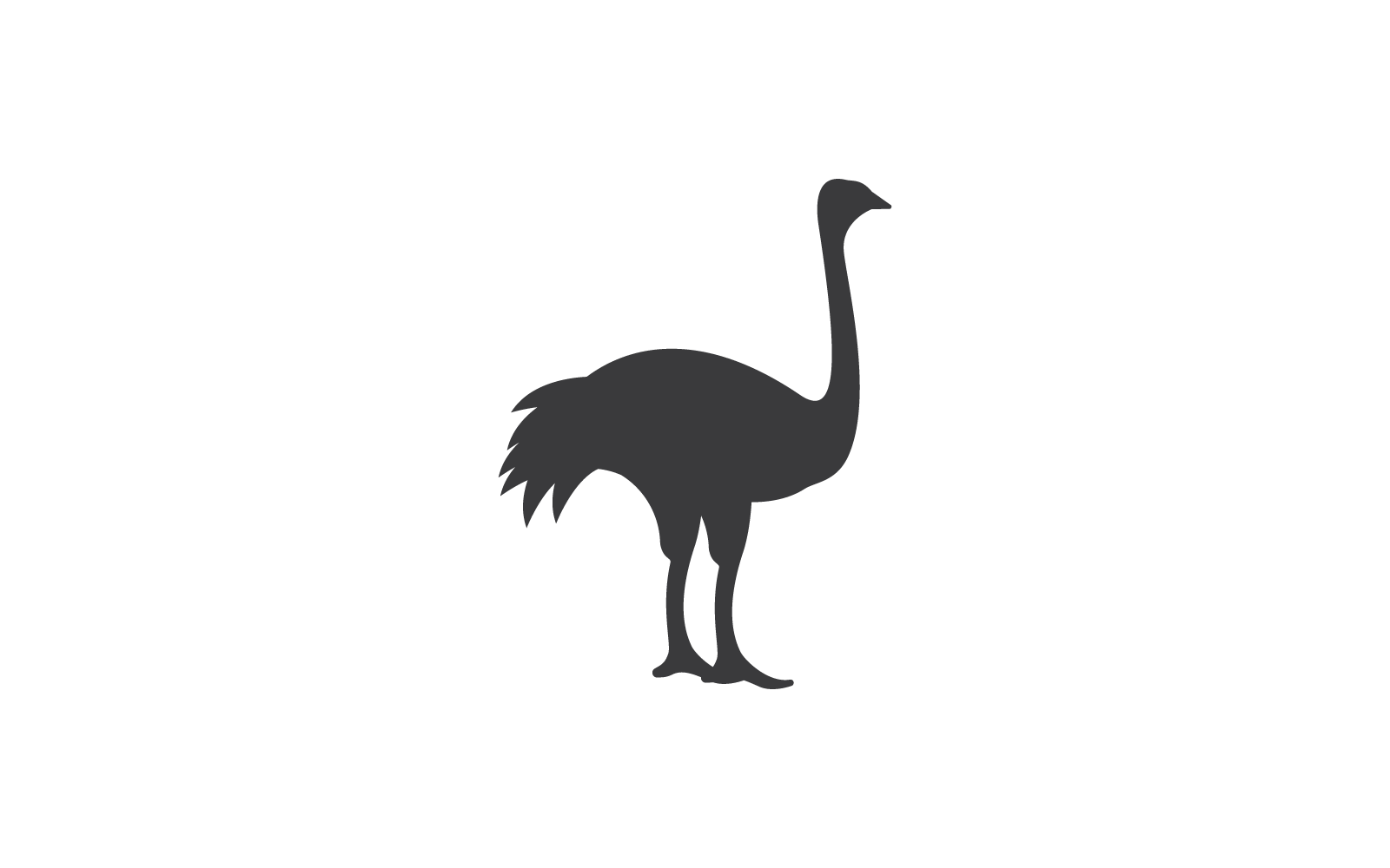 Logo di struzzo Silhouette Design piatto vettore