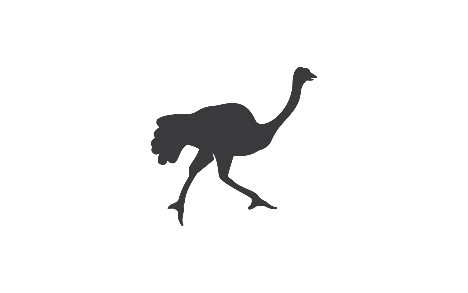 Ostrich Logo Flat Design Vector On White Background