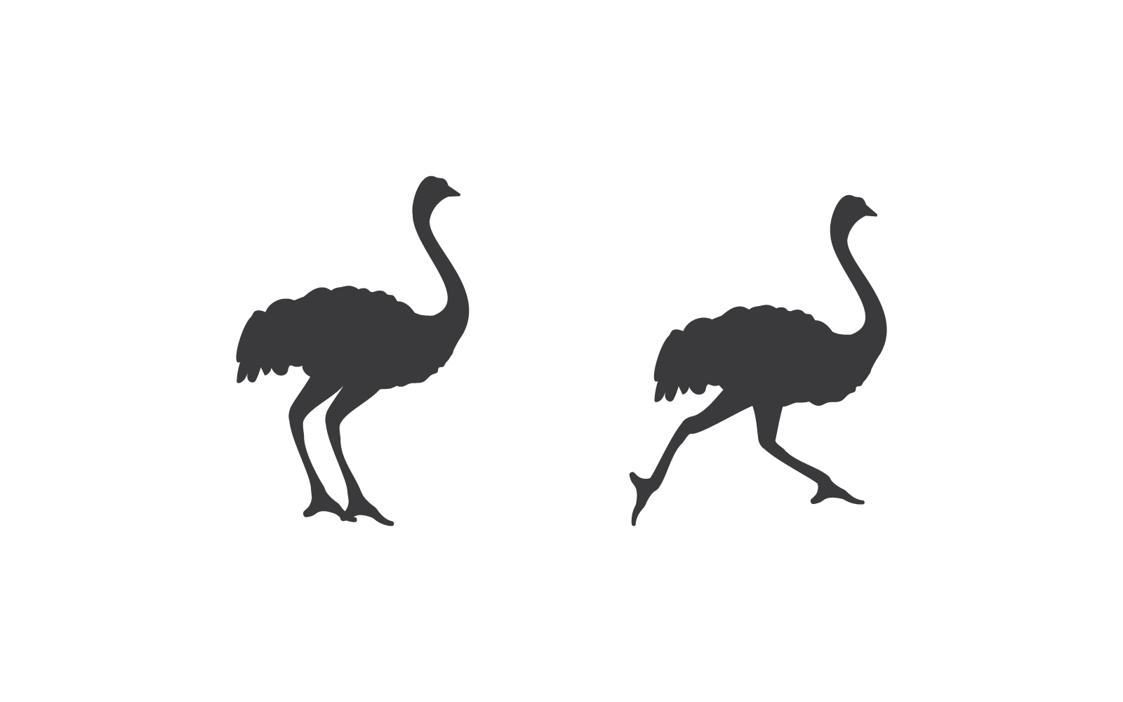 Ostrich Logo Illustration Vector Flat Design