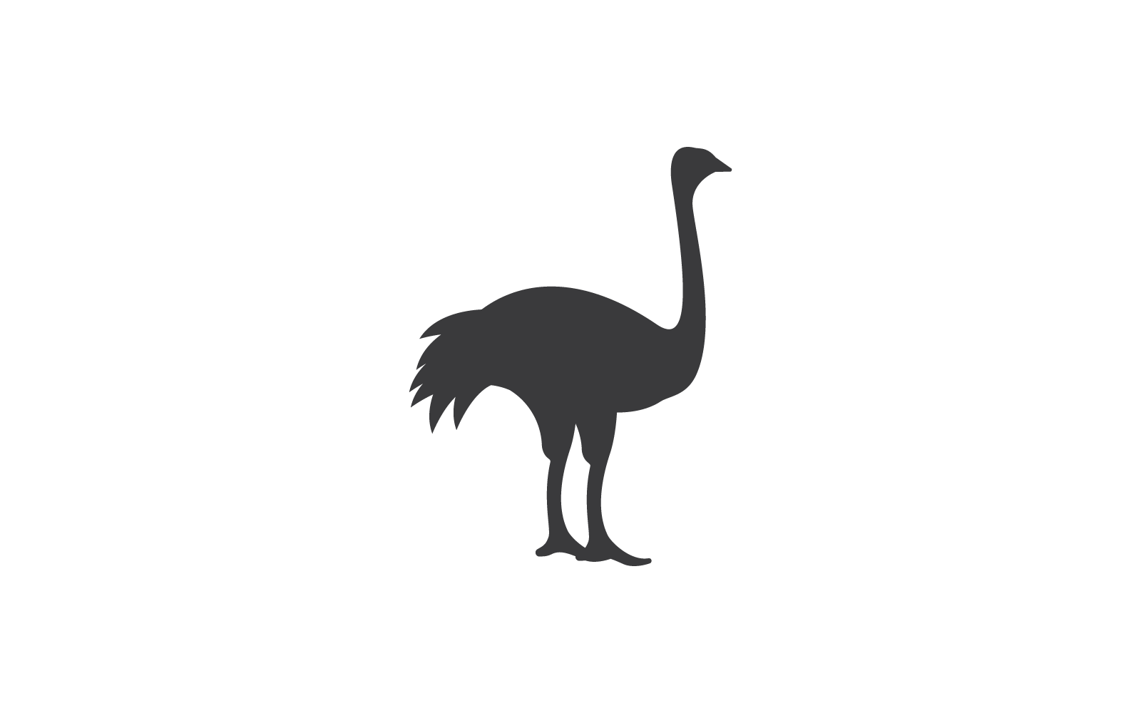 Ostrich Logo Silhouette Flat Design Vector