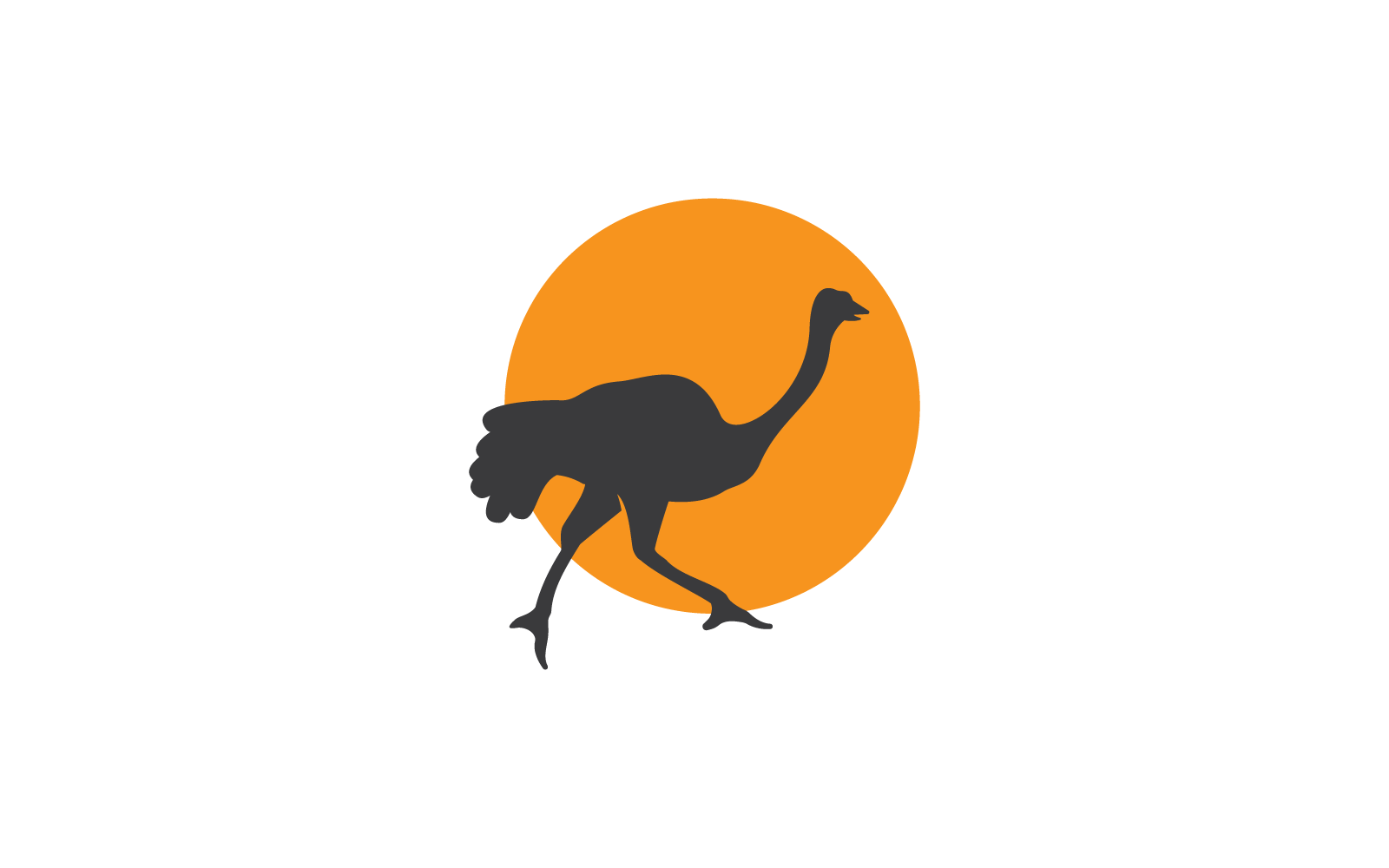Ostrich Logo Silhouette Vector Design