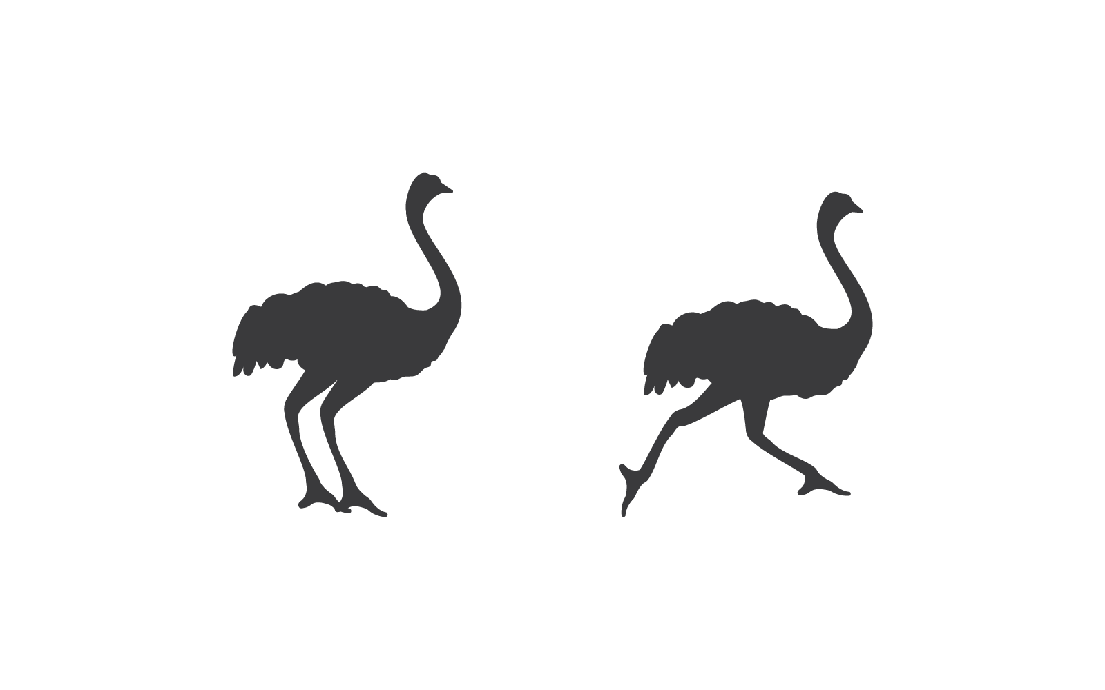 Struisvogel Logo Illustratie Vector Platte Ontwerp