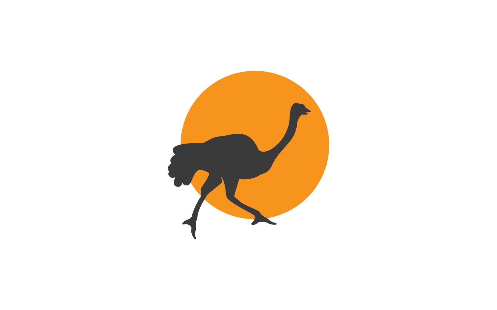 Struisvogel Logo Silhouet Vector Design