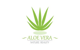 Aloe Vera Logo Nature Template V4