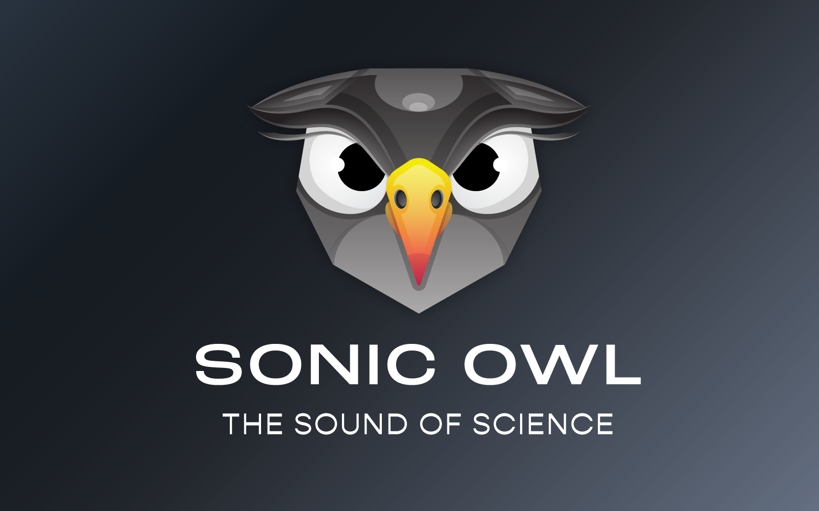 Sonic Owl Colorful Gradient Logo Template