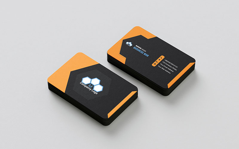 Simple Professional Business Card Corporate Identity