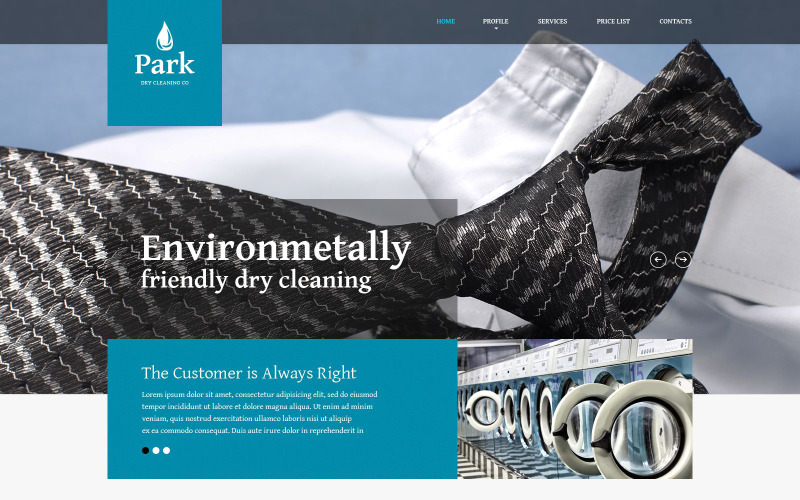 Free Cleaner Responsive Website Template