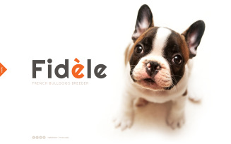 Free Dog Website Template