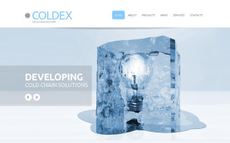 Free Frozen Fresh Foods Responsive Website Template