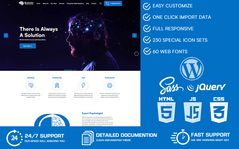 Braincho - Psychologist, Therapy & Psychological Counseling WordPress Theme
