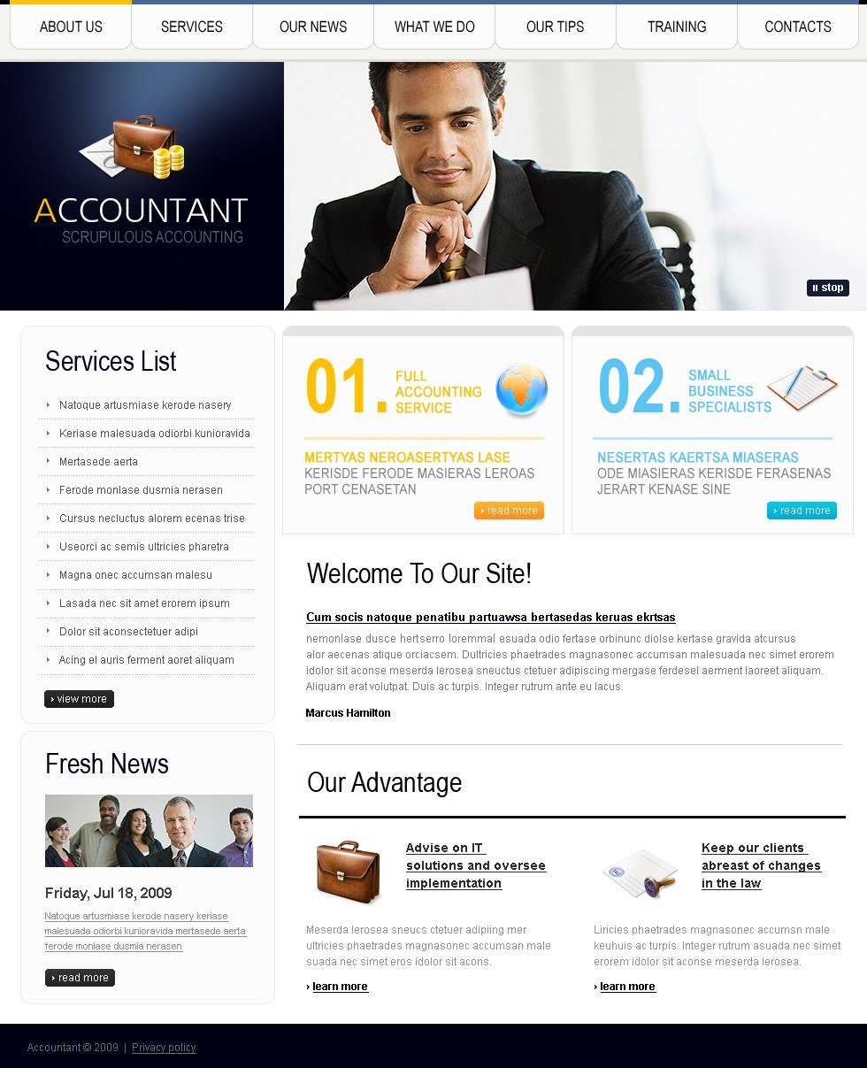 Accounting Website Website Template 25066