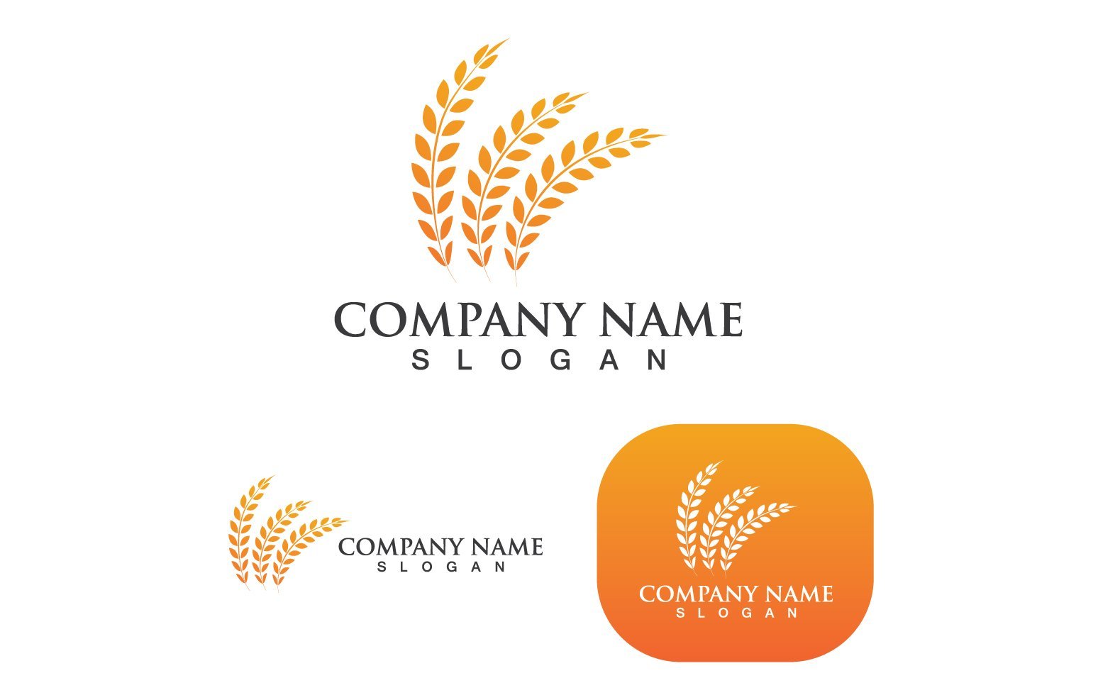 Template #250239 Grain Wheat Webdesign Template - Logo template Preview