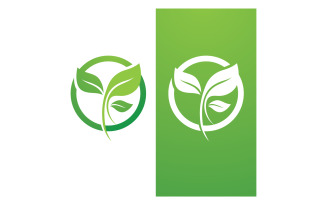 Green Leaf Nature Vector Logo Template V11