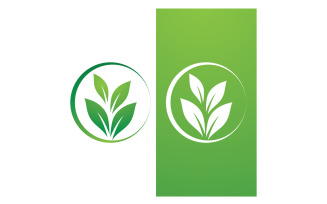 Green Leaf Nature Vector Logo Template V12