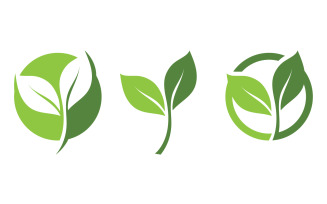 Green Leaf Nature Vector Logo Template V17