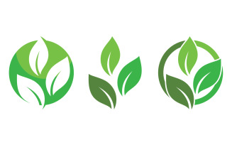 Green Leaf Nature Vector Logo Template V18