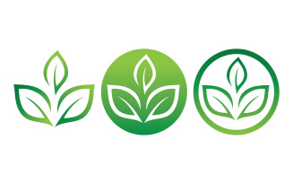 Green Leaf Nature Vector Logo Template V19