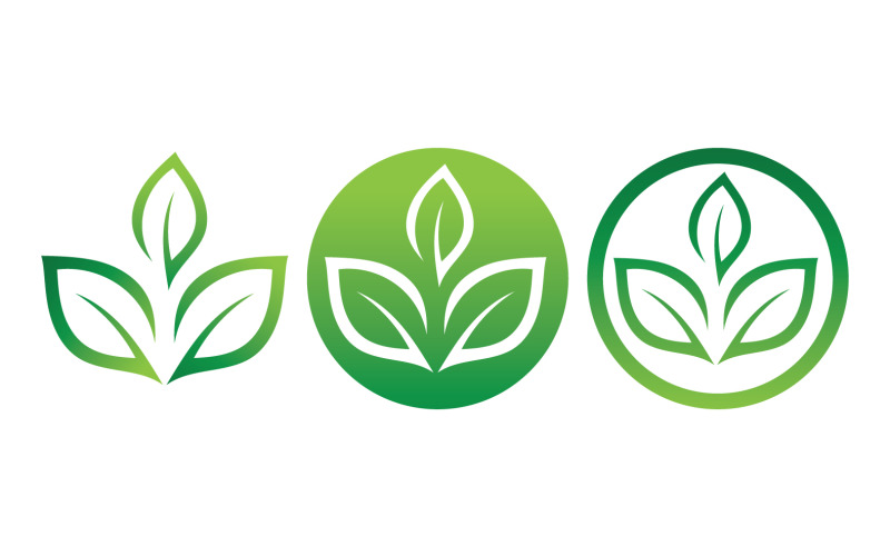 Green Leaf Nature Vector Logo Template V19